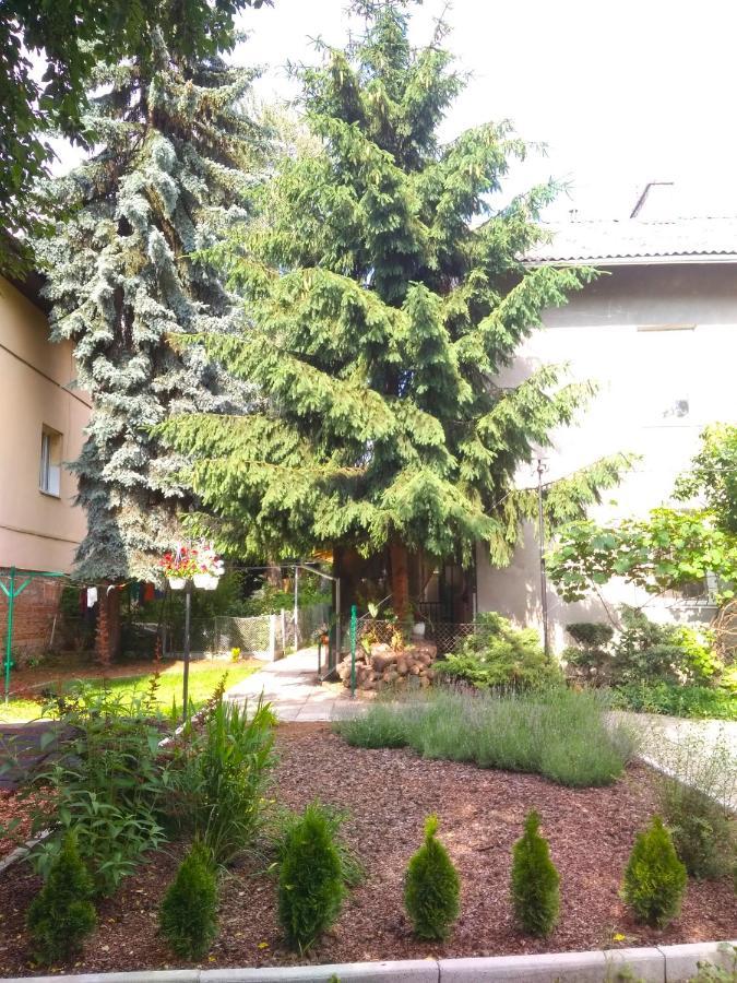 לבוב Apartment On Zaliznychna מראה חיצוני תמונה