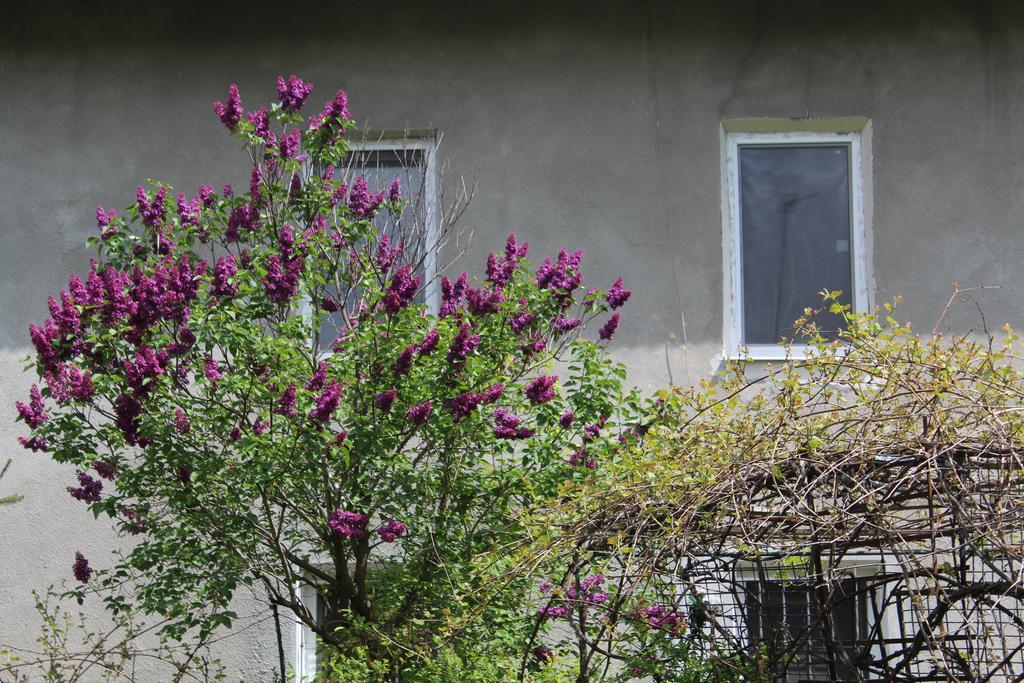 לבוב Apartment On Zaliznychna מראה חיצוני תמונה