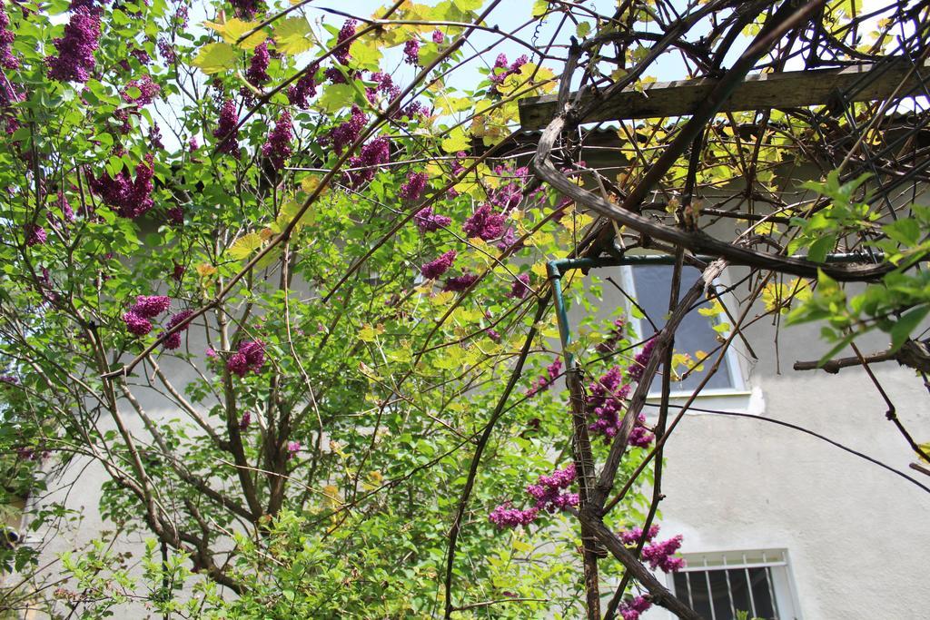 לבוב Apartment On Zaliznychna מראה חיצוני תמונה